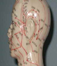 Canales de acupuntura en la cara y en el cuello.